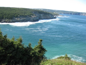 uitzicht over de baai | St Johns